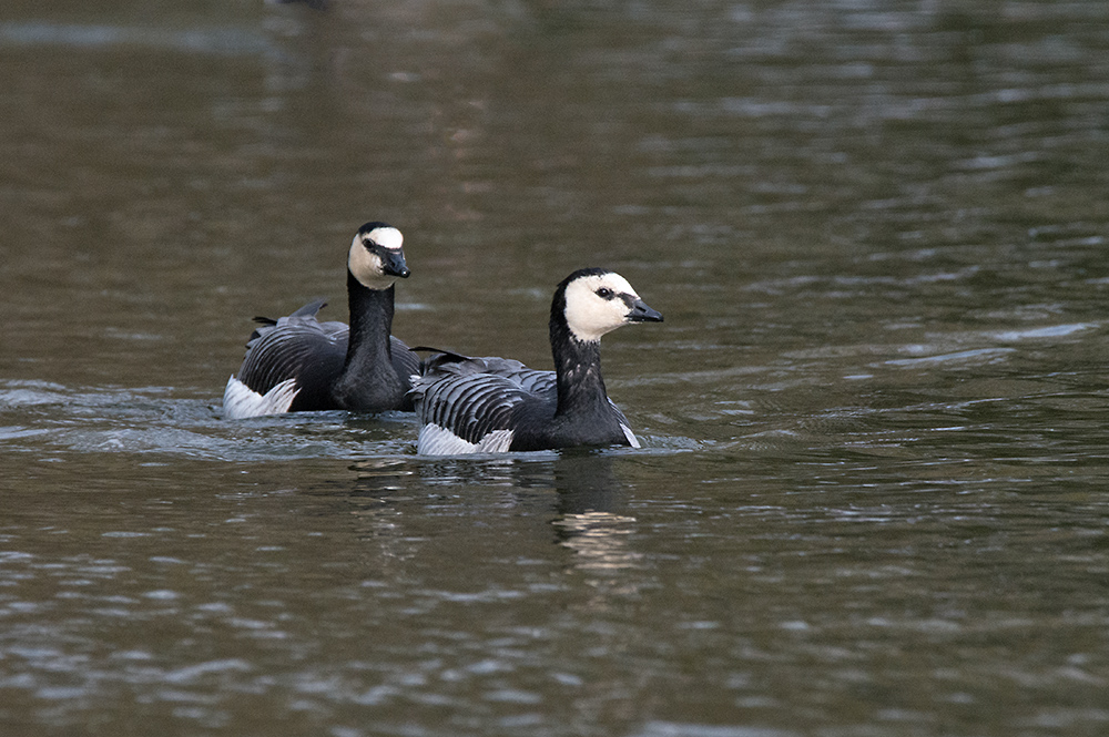 DSC_5809.jpg