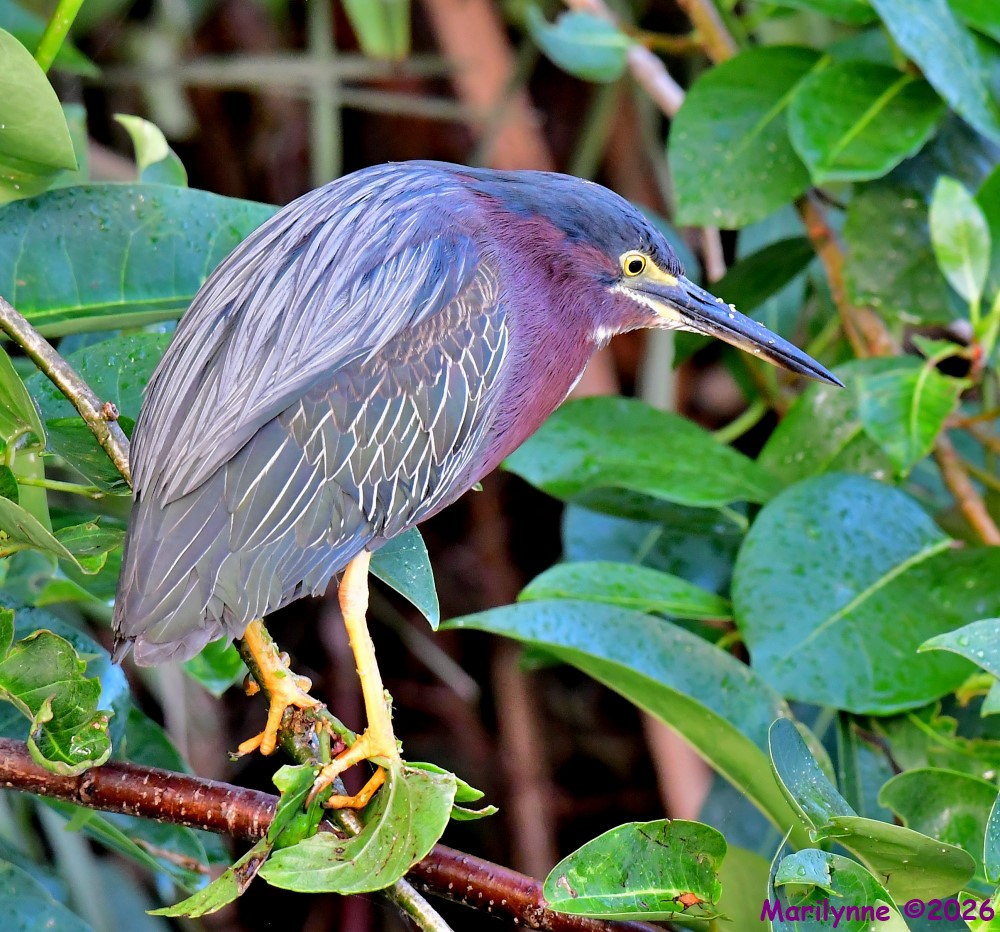 DSC_5814_001.JPG