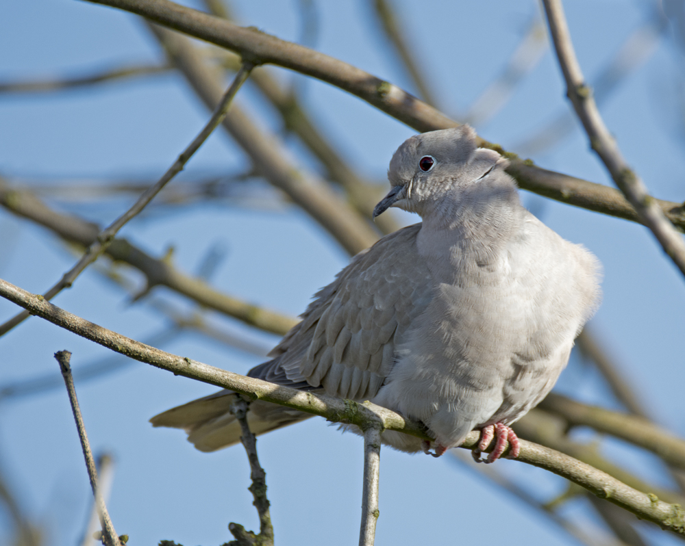 DSC_5816.jpg