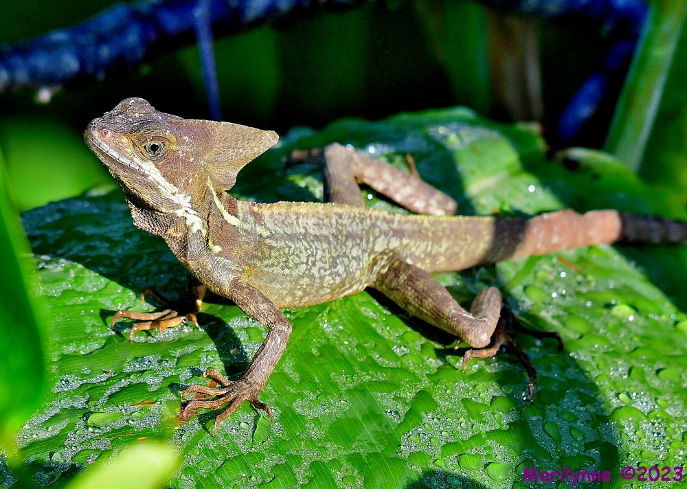 DSC_5818_001.JPG