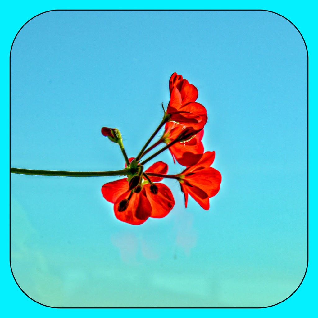 DSC_5821-Edit.jpg