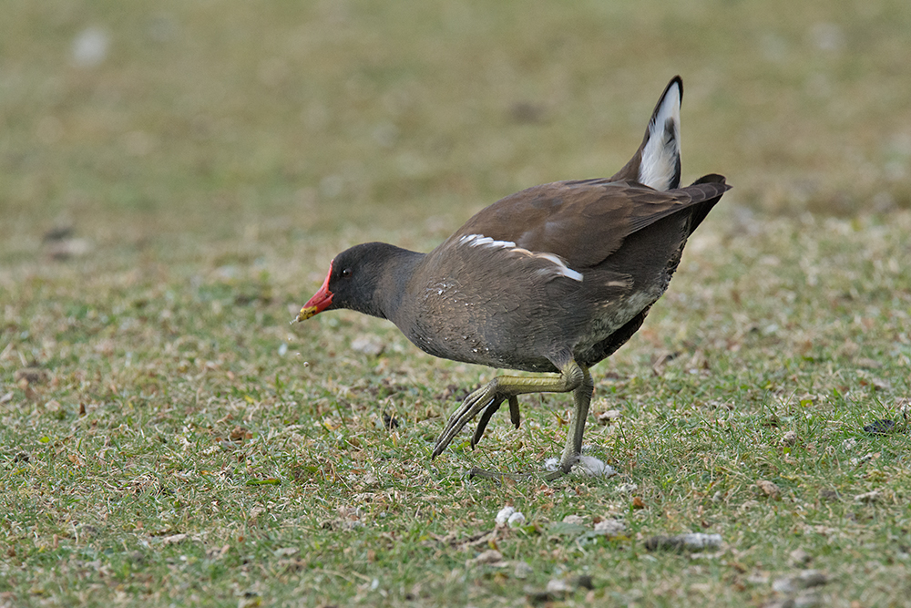 DSC_5821.jpg