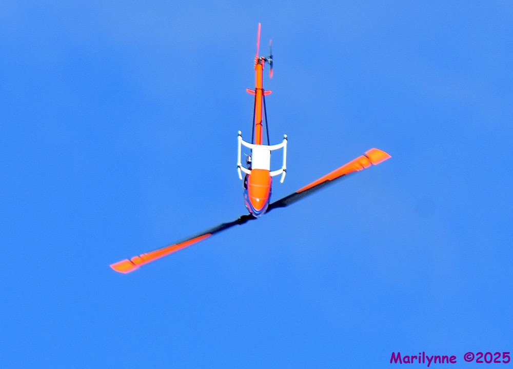 DSC_5822_001.JPG