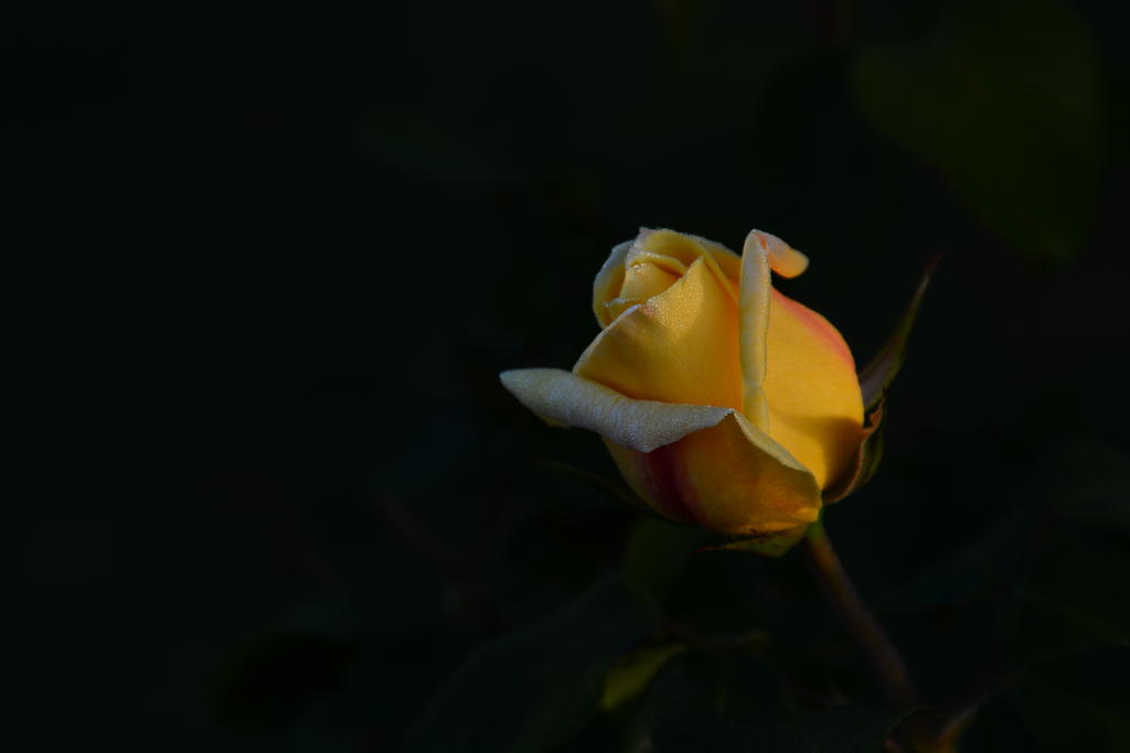 DSC_5827.jpg