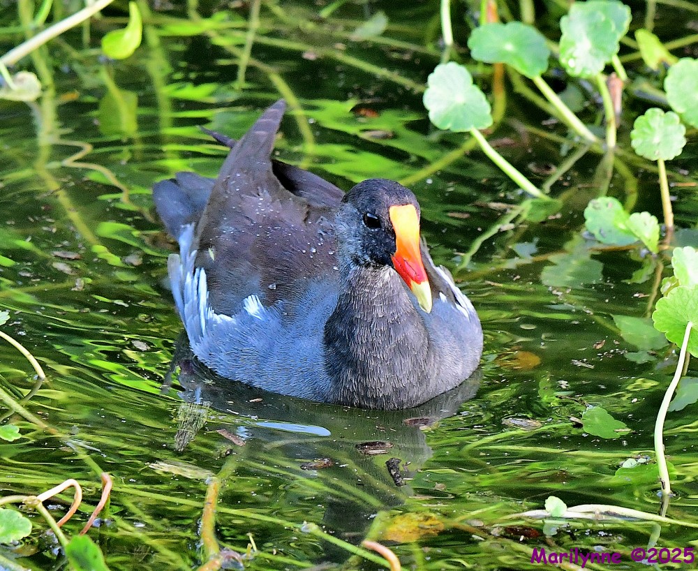 DSC_5828_001.JPG