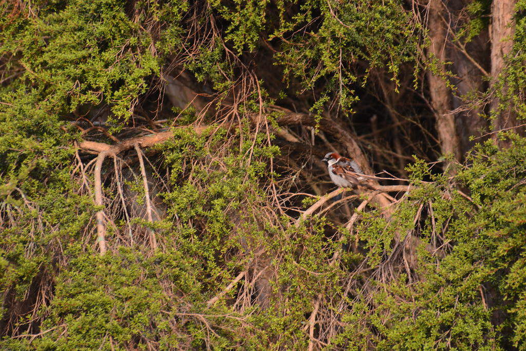 DSC_5829.jpg