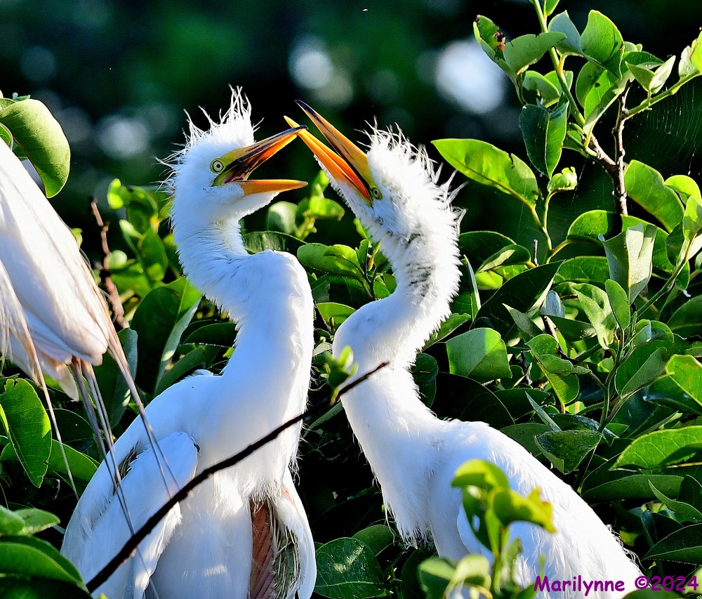 DSC_5829_001.JPG