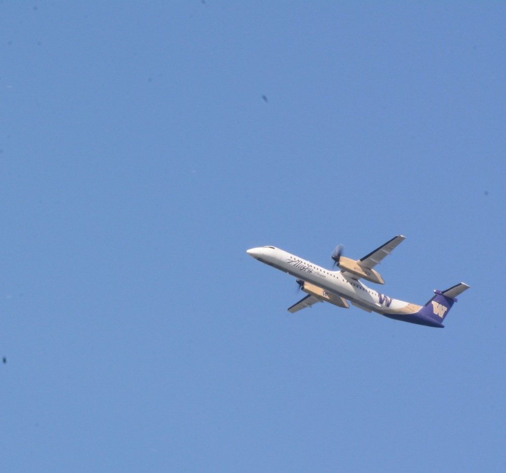 DSC_5830.JPG