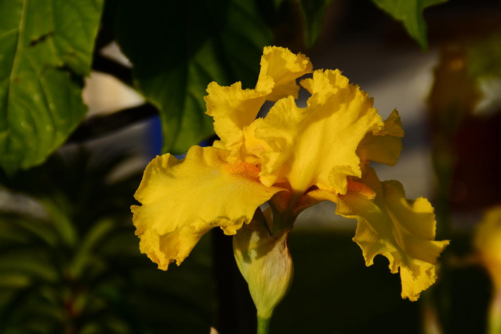 DSC_5832.jpg