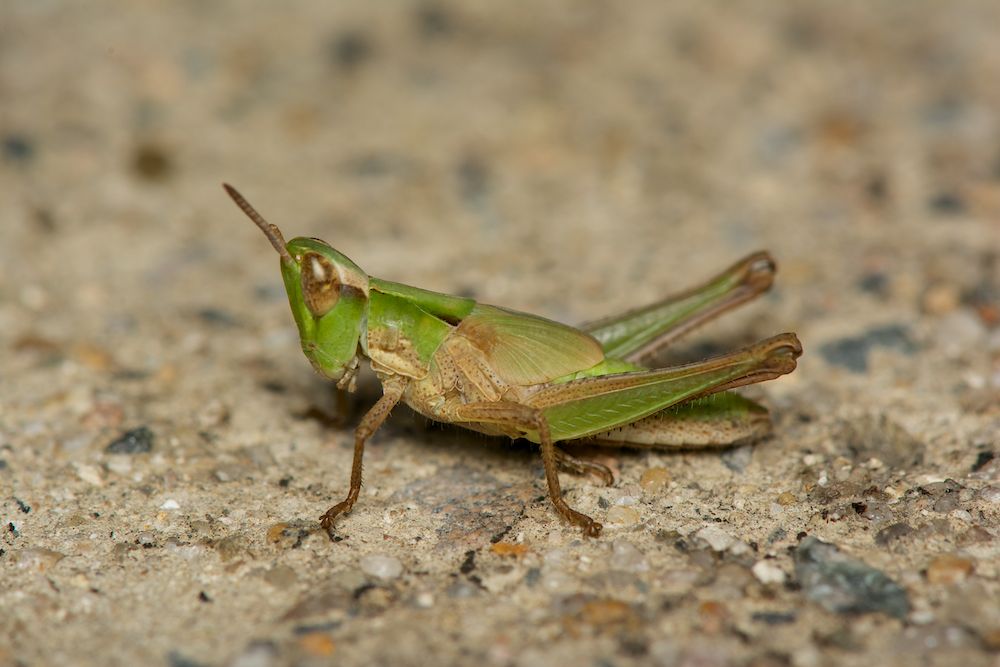 DSC_5832.jpg