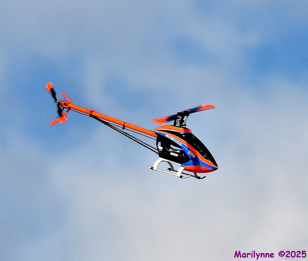 DSC_5832_001.JPG