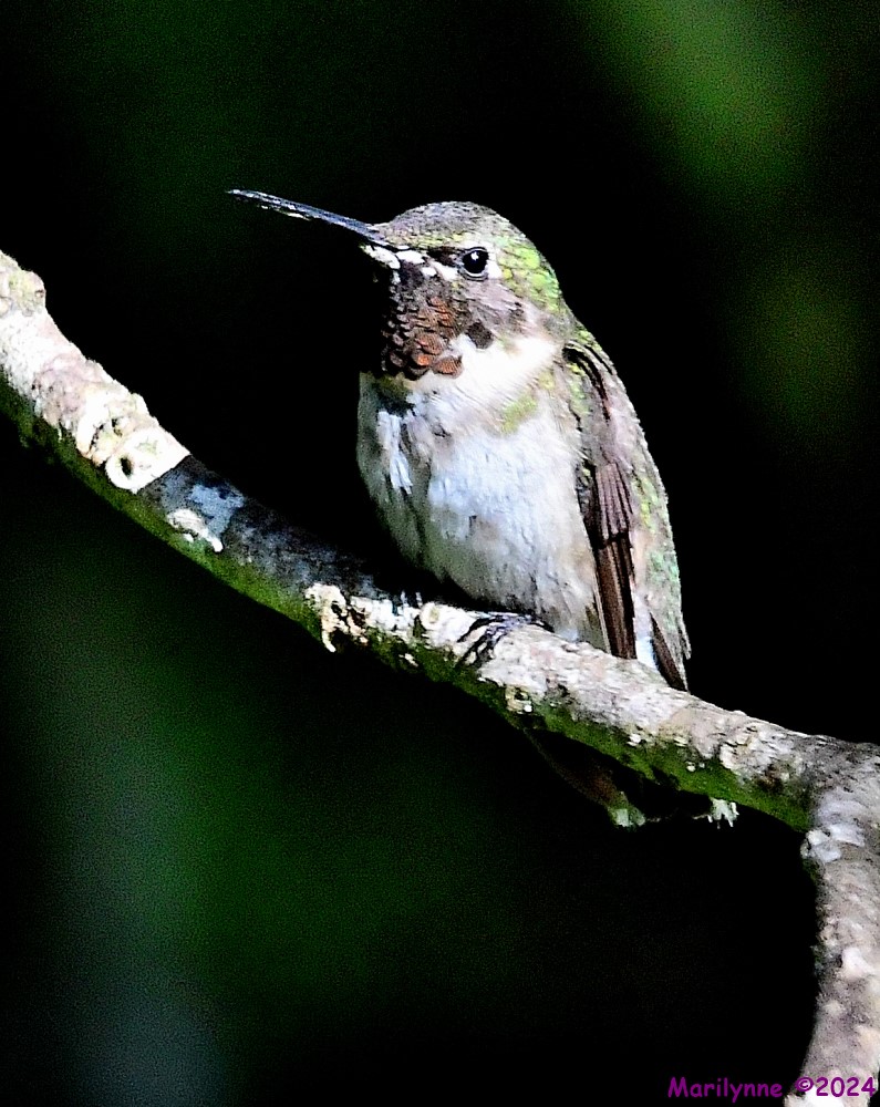 DSC_5834_001.JPG