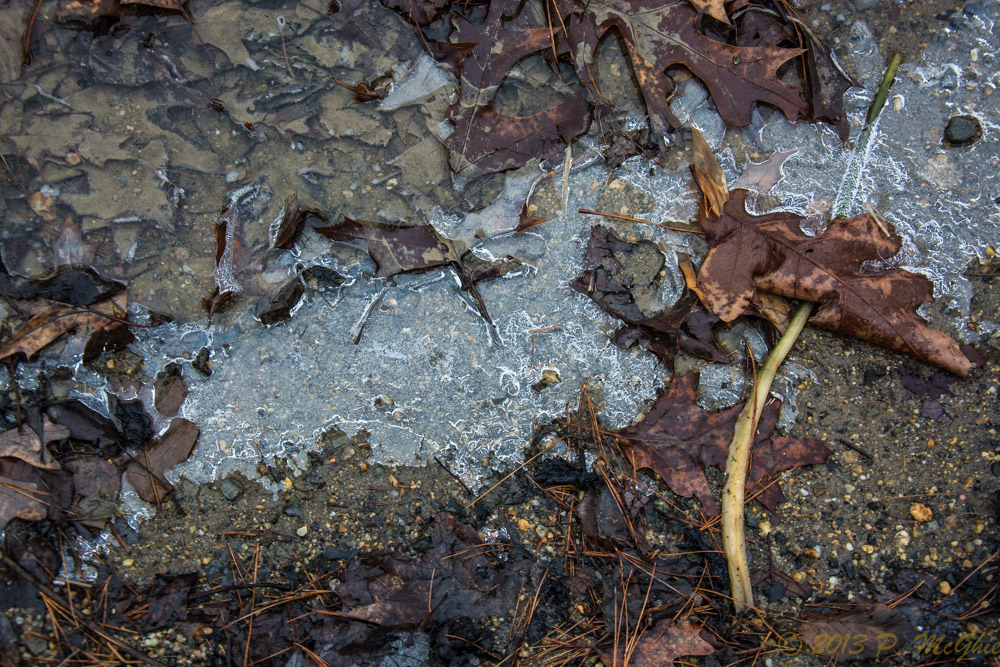 DSC_5839.jpg