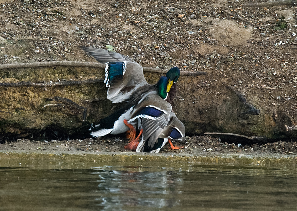 DSC_5843.jpg