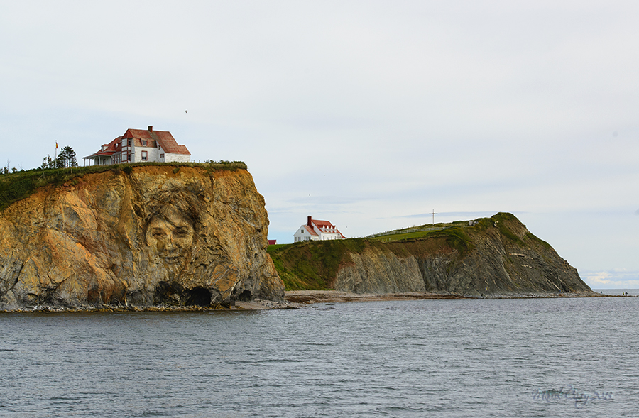 DSC_5843.jpg