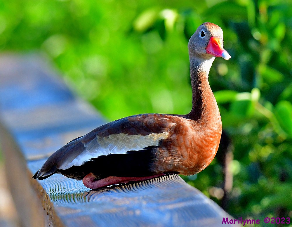 DSC_5843_001.JPG