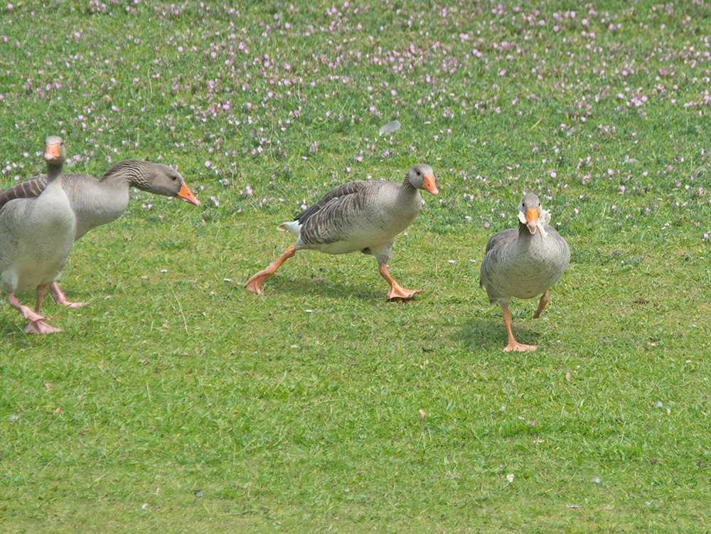 DSC_5844.jpg