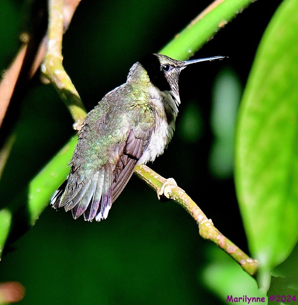 DSC_5846_001.JPG