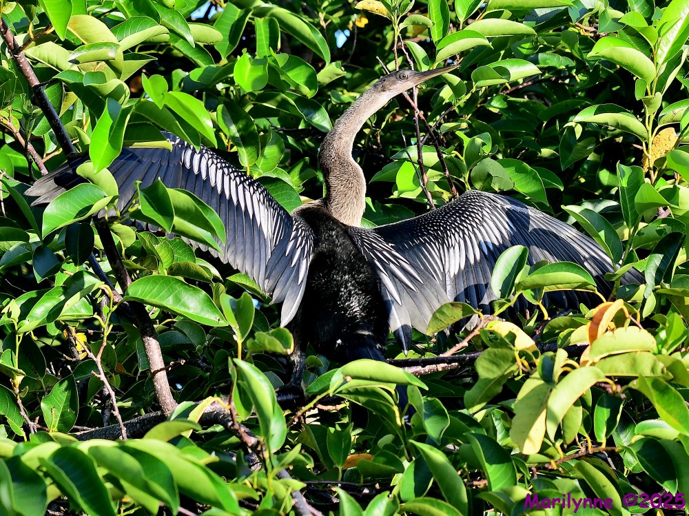 DSC_5846_001.JPG