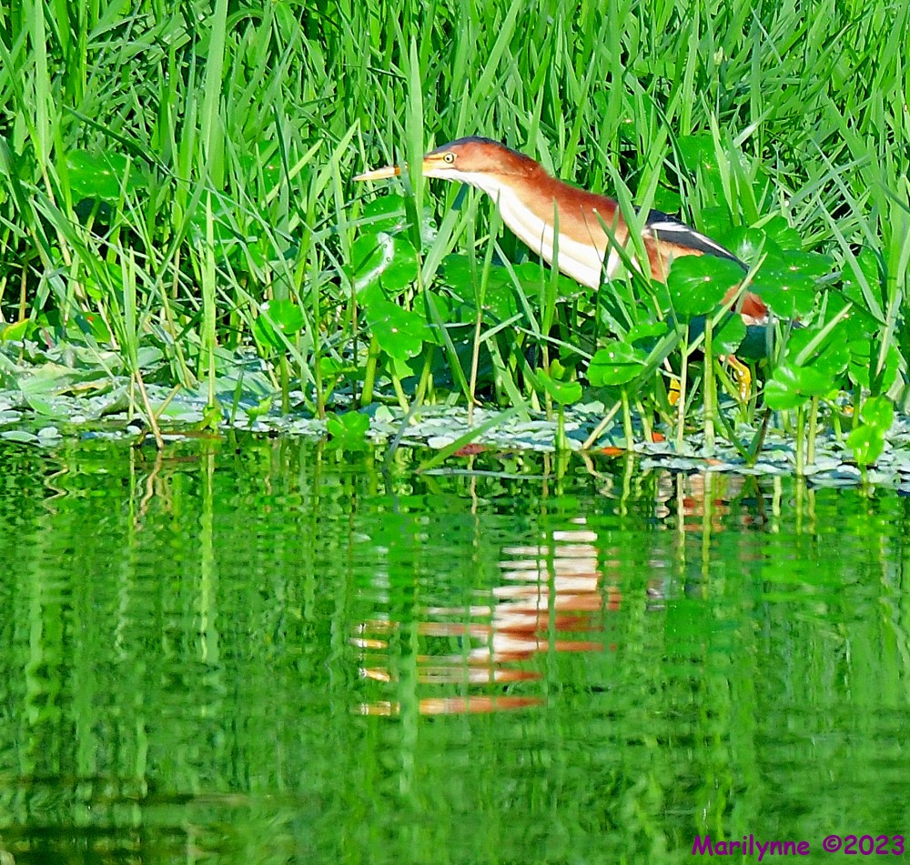 DSC_5848_001.JPG