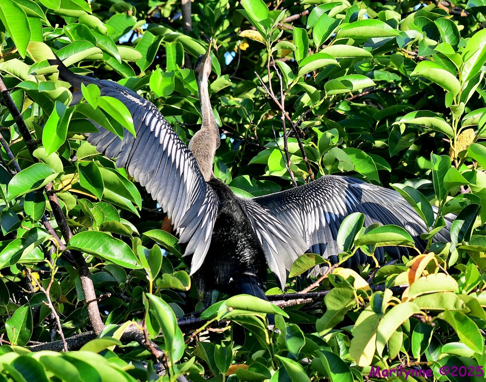DSC_5848_001.JPG