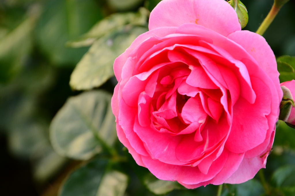DSC_5851.jpg