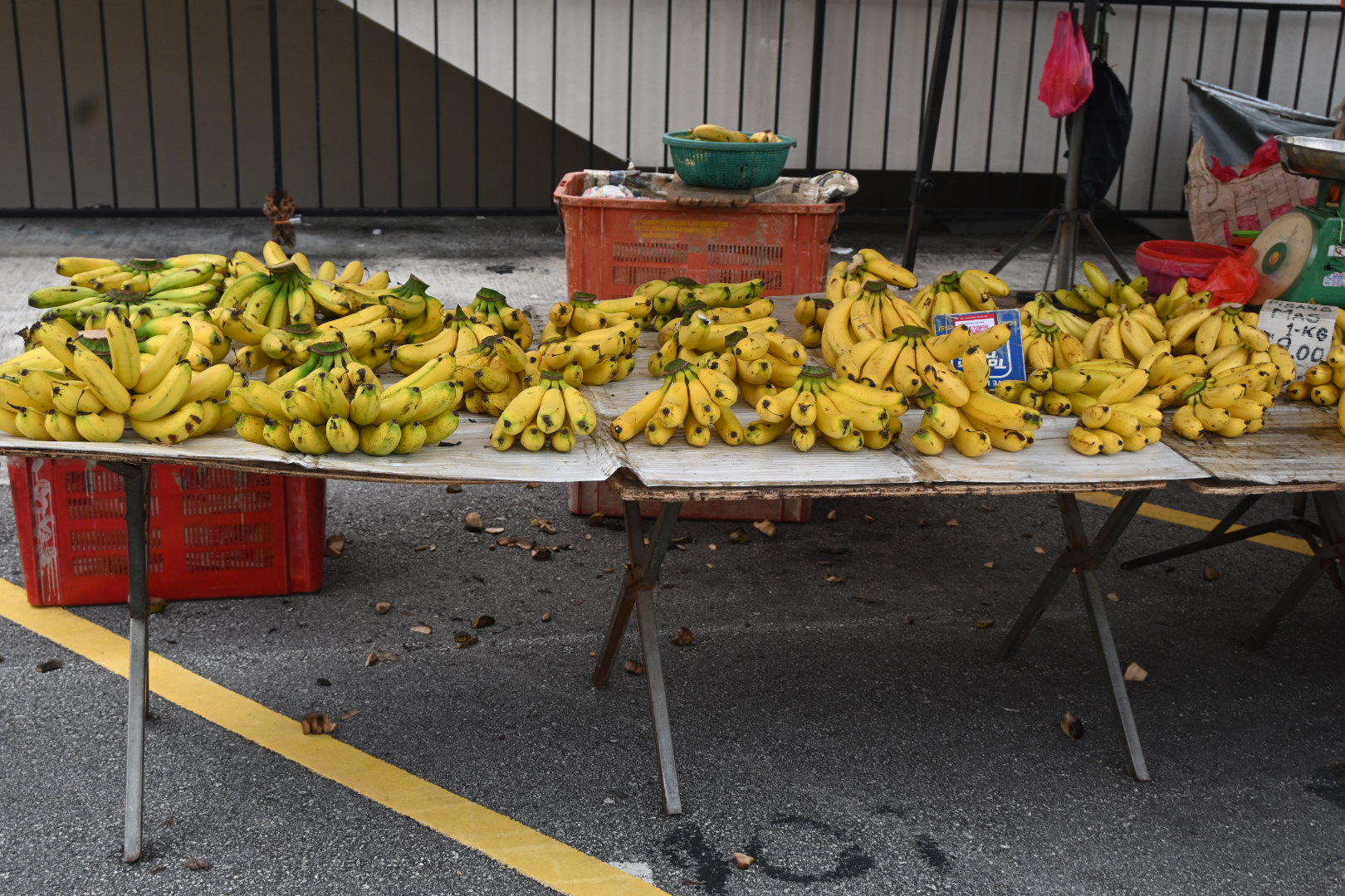 DSC_5851.jpg