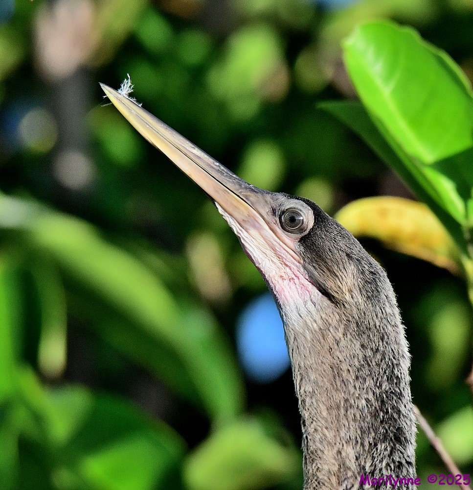 DSC_5851_001.JPG