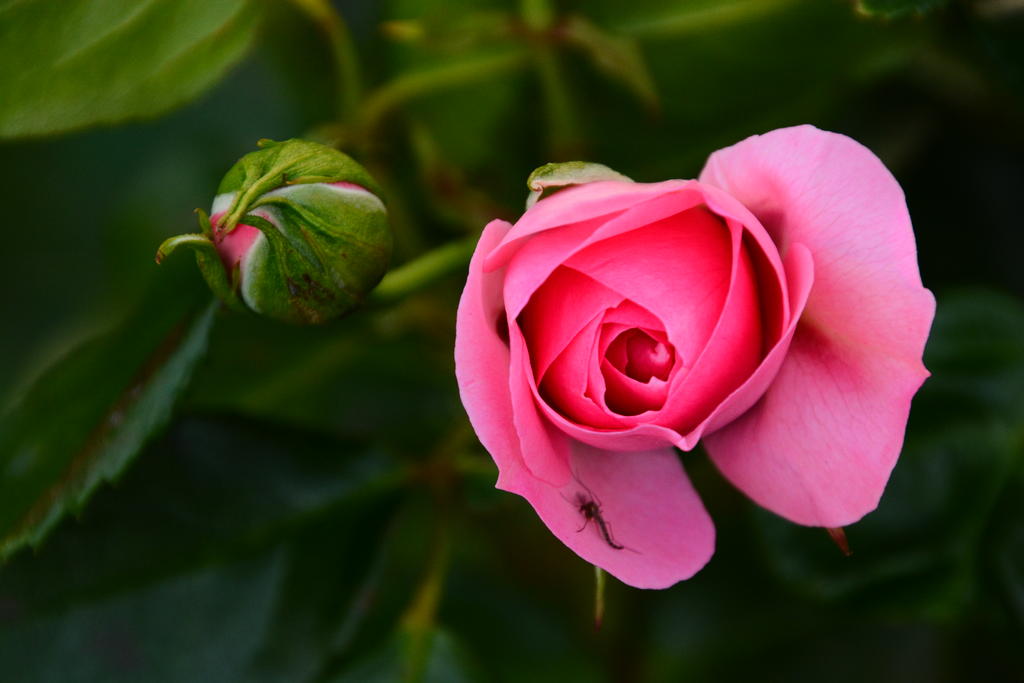 DSC_5853.jpg