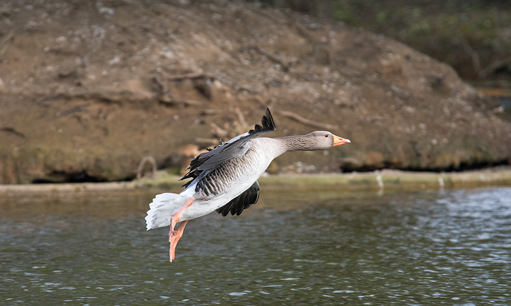 DSC_5856.jpg