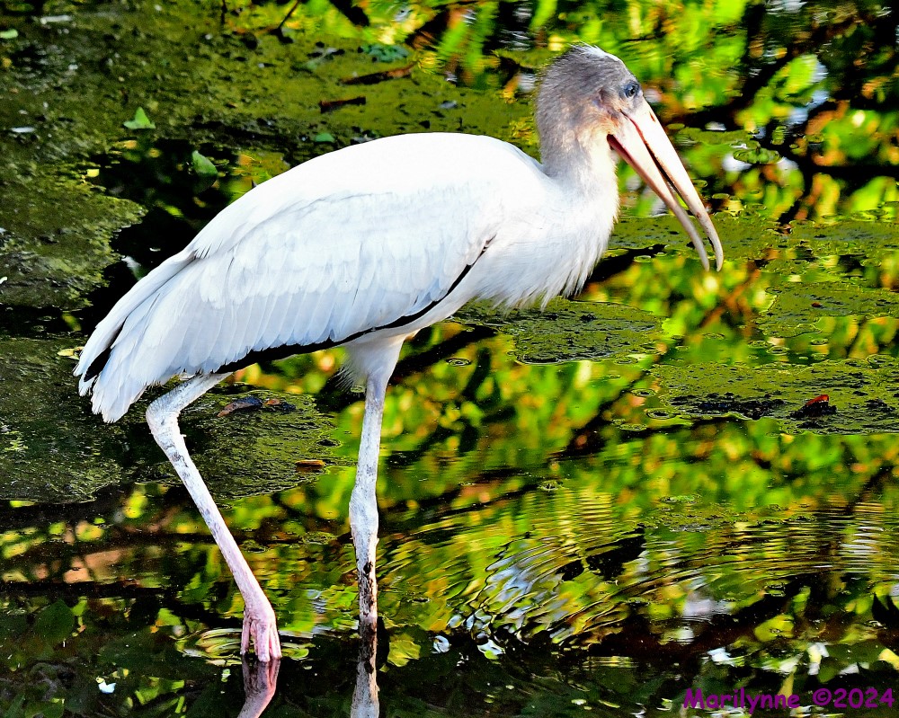 DSC_5857_001.JPG