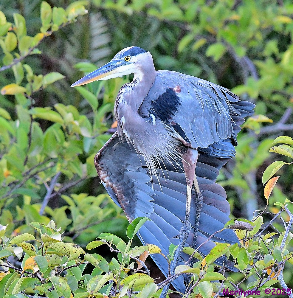 DSC_5859_001.JPG