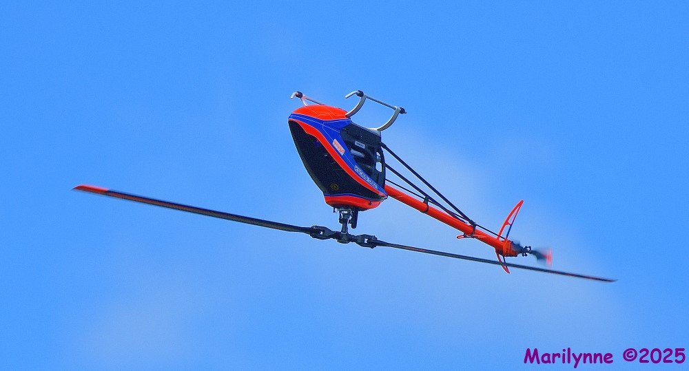 DSC_5860_001.JPG