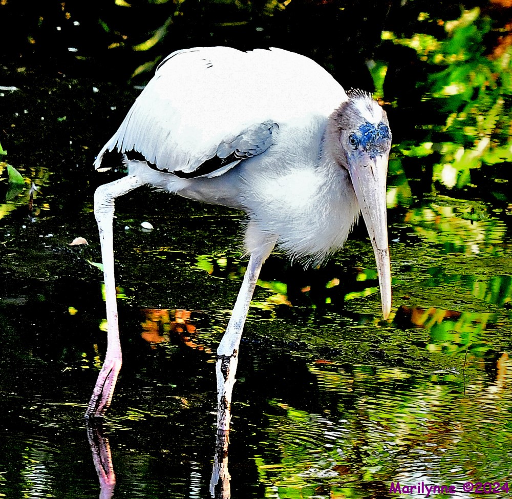 DSC_5861_001.JPG