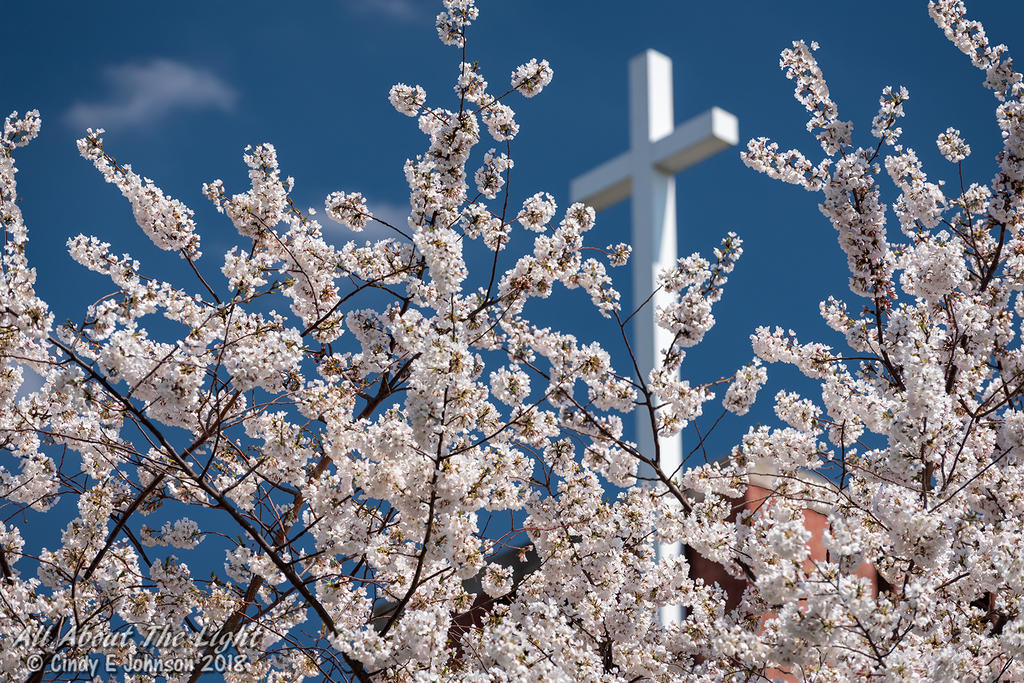 DSC_5863 low res.jpg