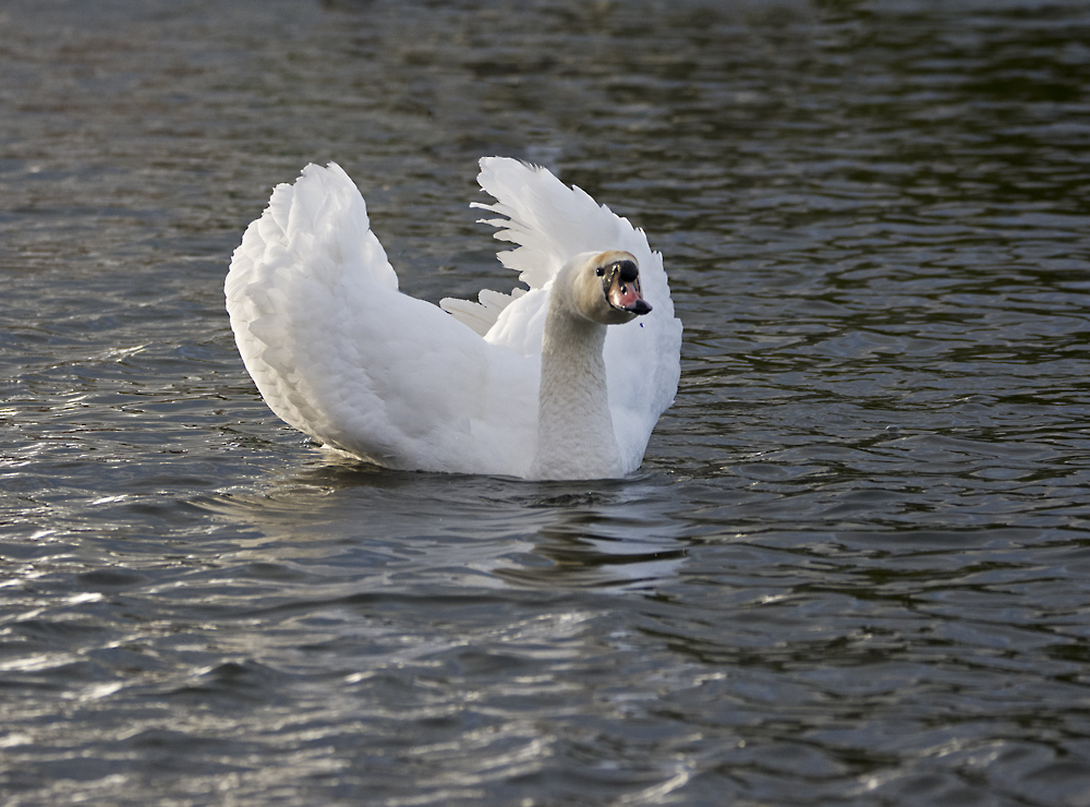 DSC_5865.jpg
