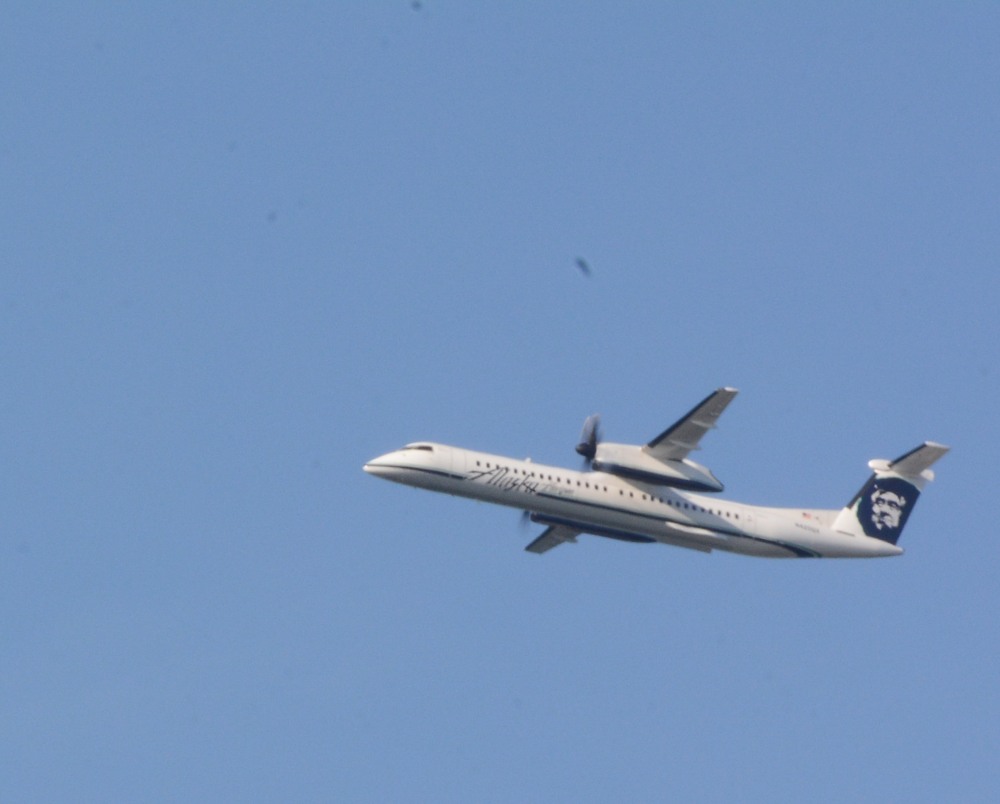 DSC_5866.JPG