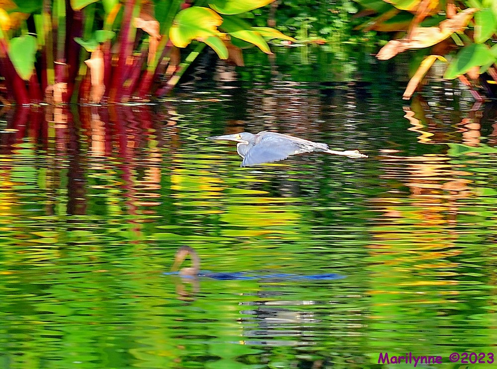 DSC_5867_001.JPG