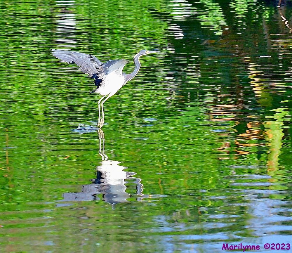 DSC_5868_001.JPG