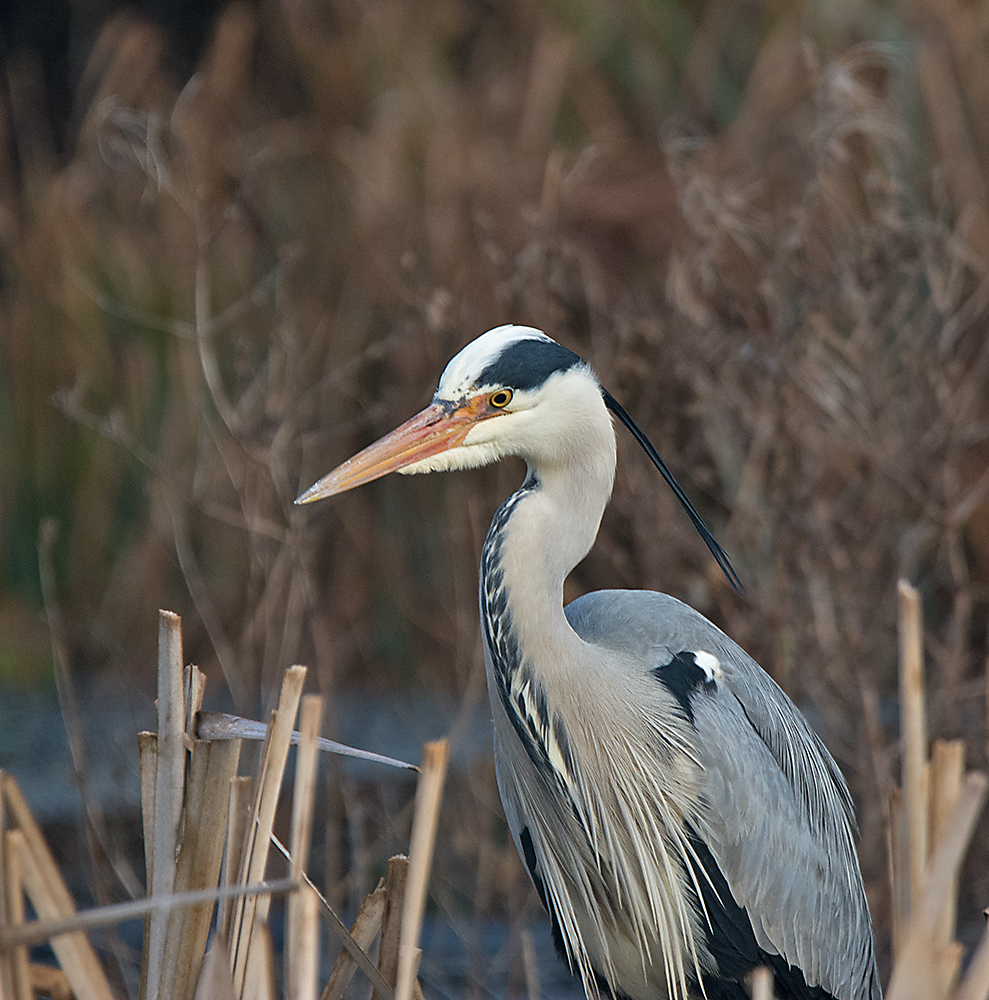 DSC_5870.jpg