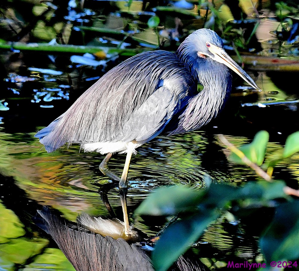 DSC_5873_001.JPG