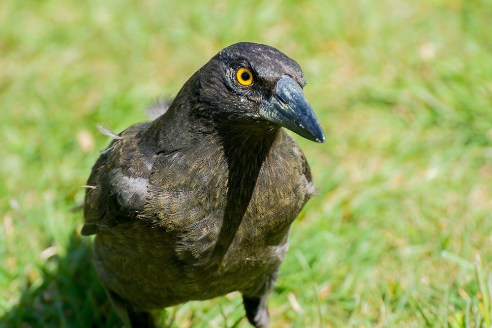 DSC_5874.jpg