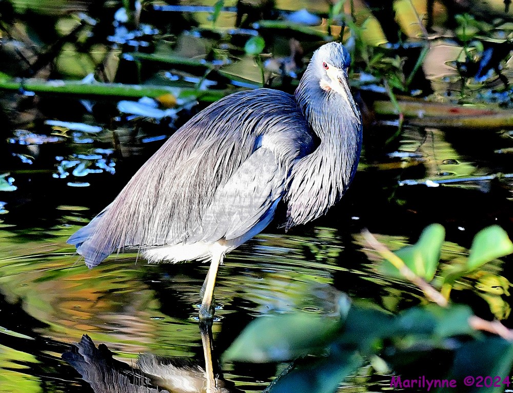 DSC_5876_001.JPG
