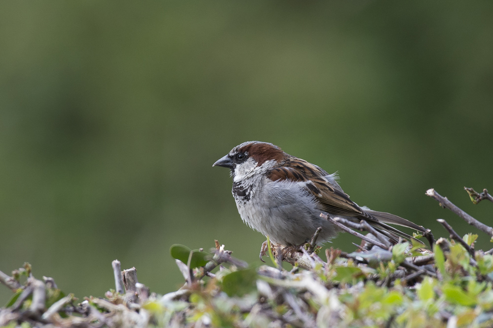 DSC_5877.jpg