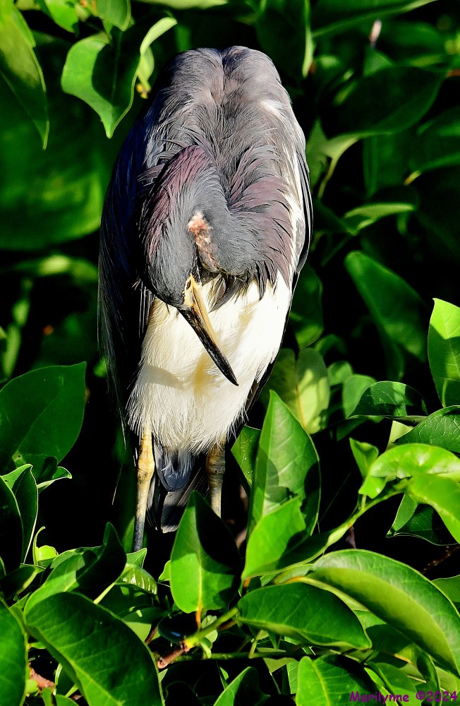 DSC_5878_001.JPG