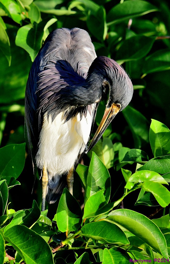 DSC_5879_001.JPG