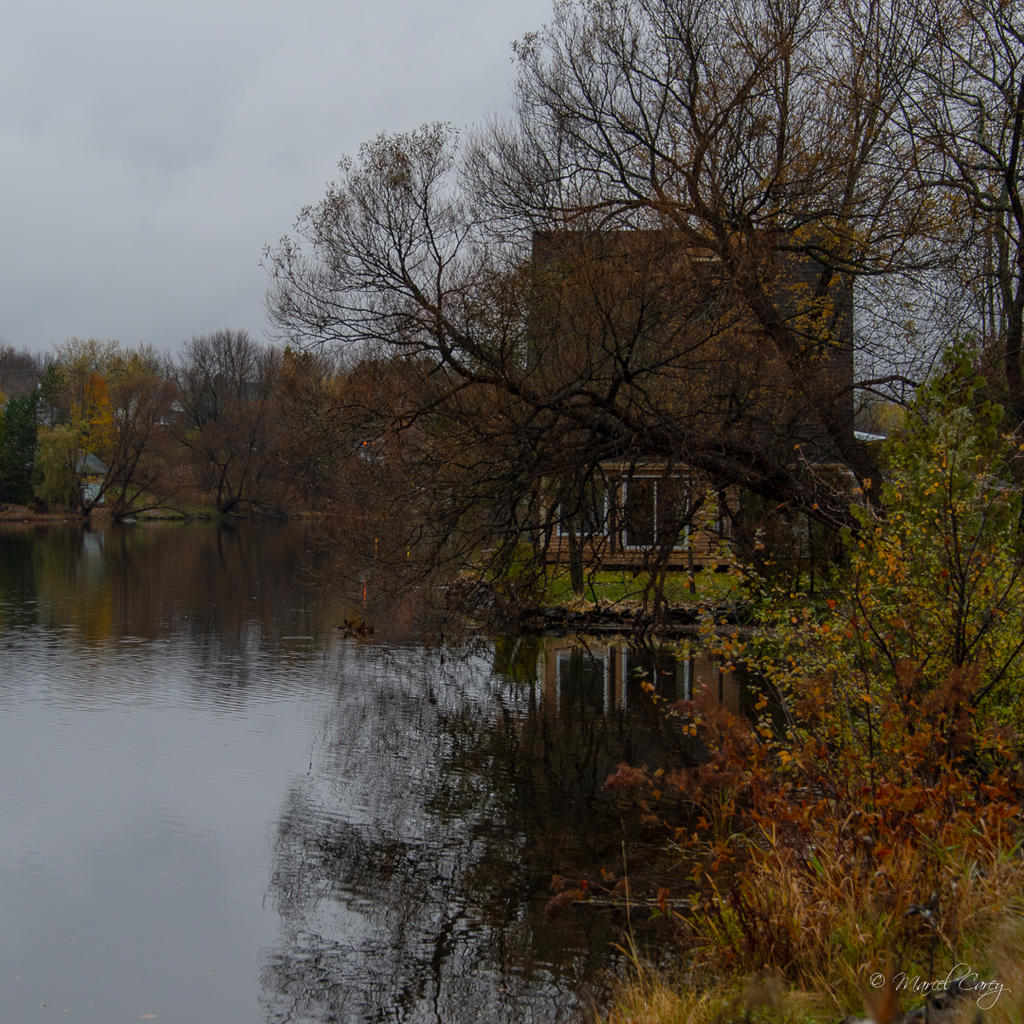 DSC_5880.jpg