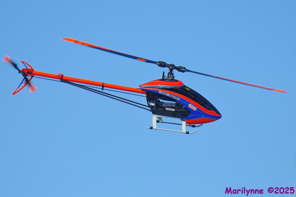 DSC_5885_001.JPG