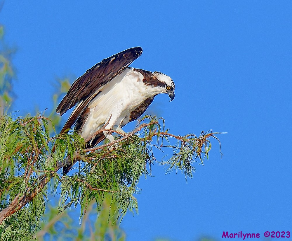 DSC_5886_001.JPG