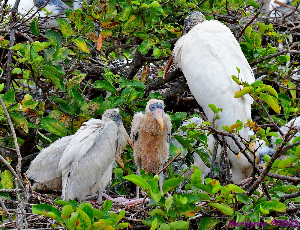 DSC_5890_001.JPG